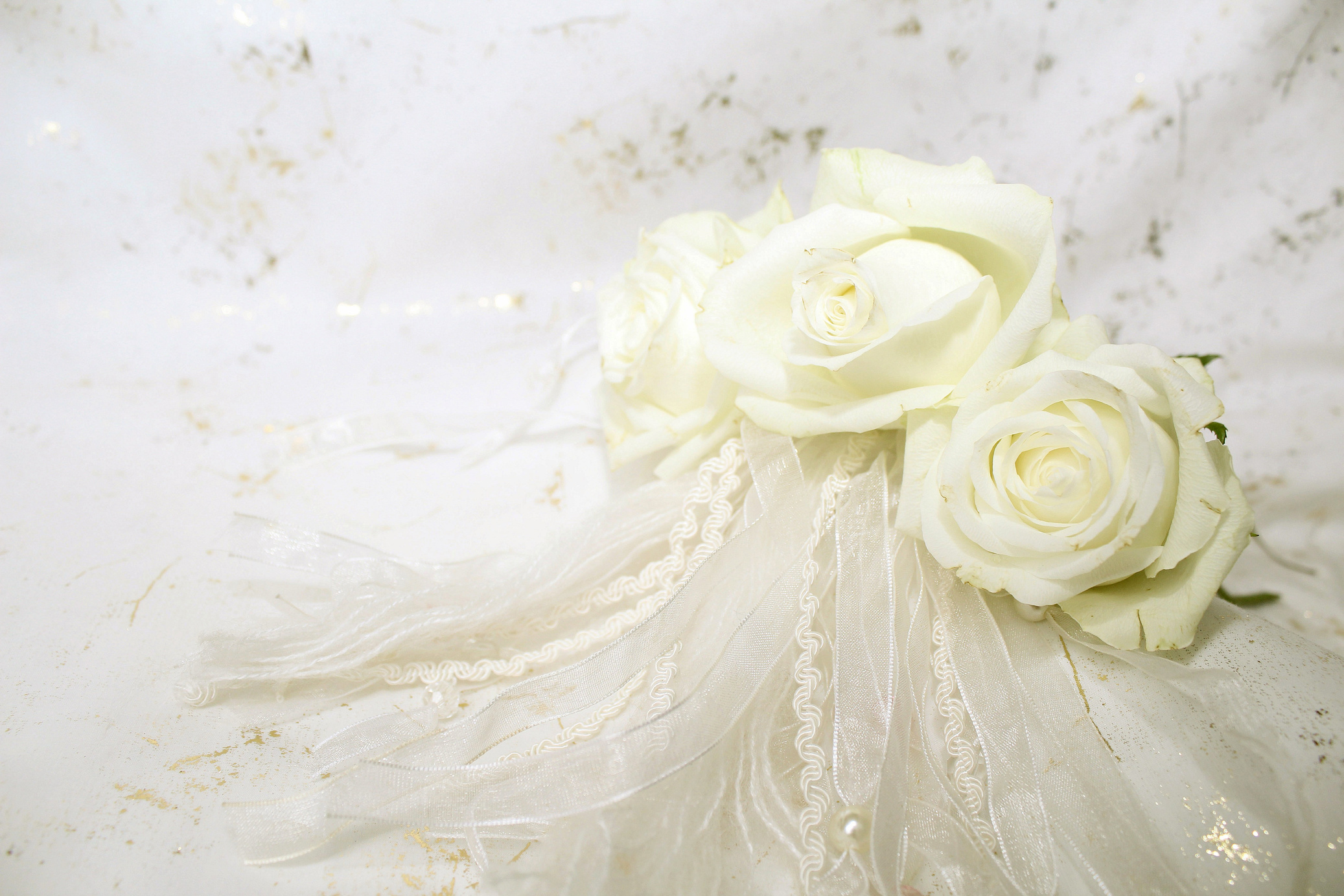 White Wedding Roses
