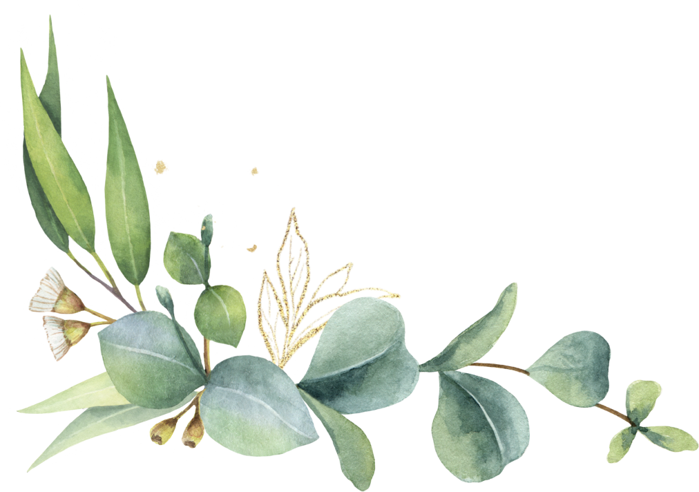 Green watercolor wreath. Eucalyptus leaves.