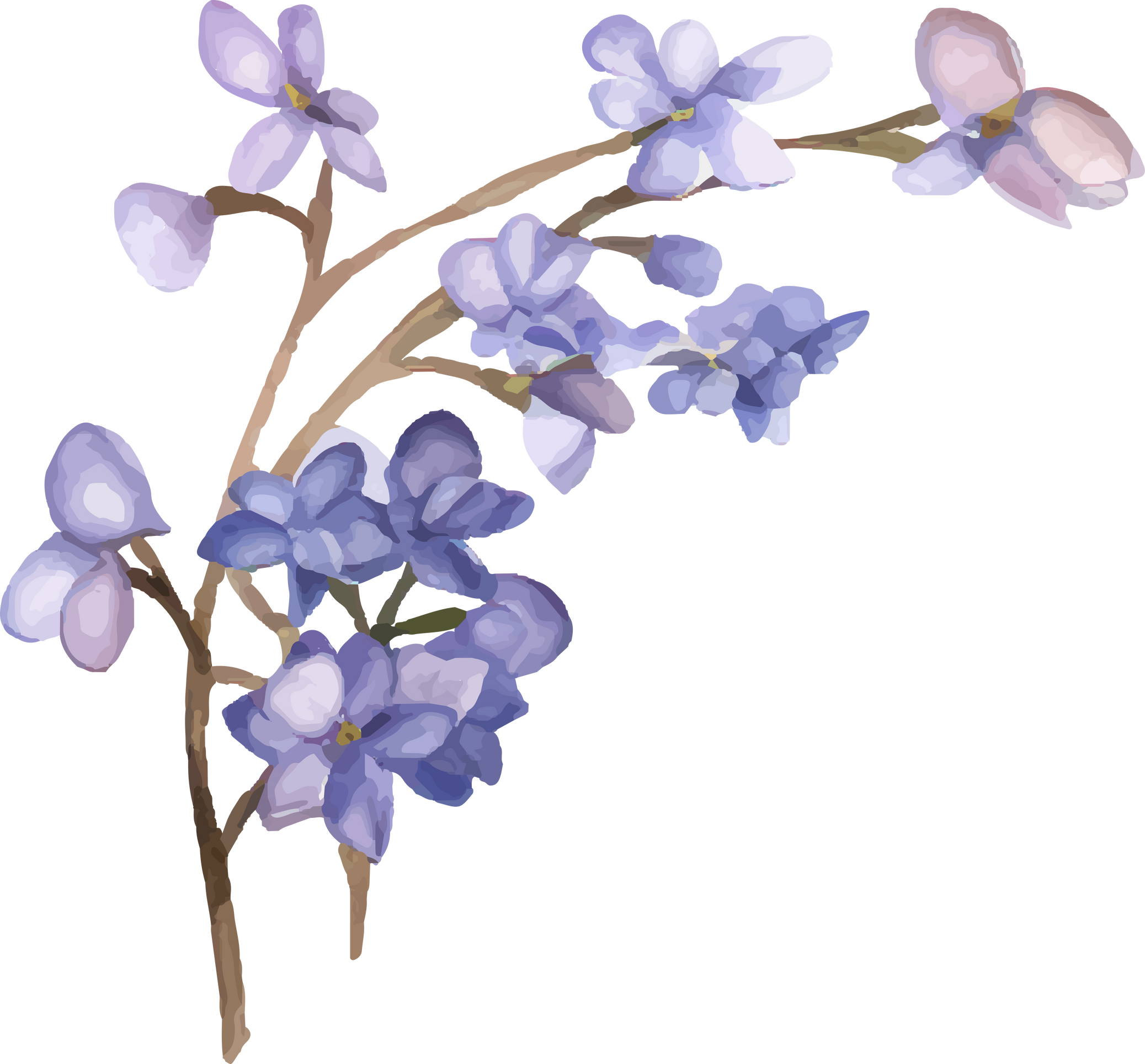 Elegant Lilac Flower Watercolor
