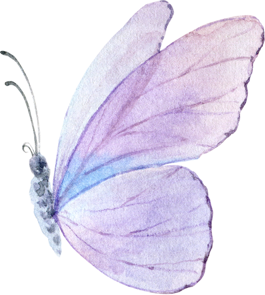Lilac Watercolor Butterfly Illustration